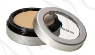 GloMinerals Camouflage Concealer Golden Honey 3.1g