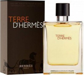 Terre D'hermes by Hermes 100 ml Edt