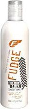 Fudge Colour Lock Conditioner 300 ml (2)