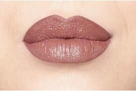 IsaDora Lip Desire Sculpting Lipstick 50 Nude Blush   (2)