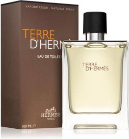 Hermes Terre d'Hermès Eau De Toilette 100ml