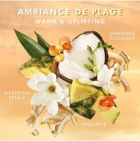 Hand Wash Ambiance de Plage 360ml (2)