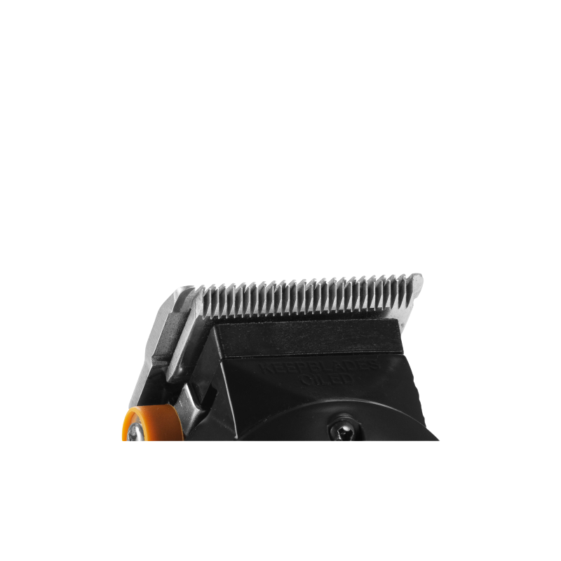 Ga.ma Gbs Wedge Stainless Steel Blade For Abs Smooth