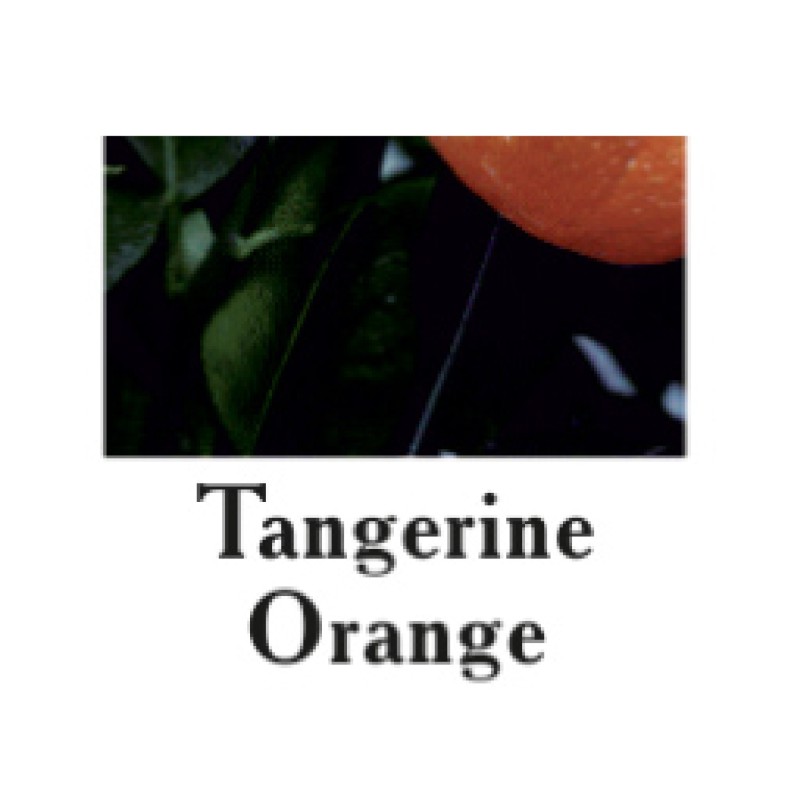 Cutrin AURORA Direct Dyes Tangerine Orange 100ml