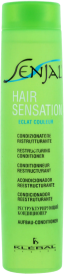 Kleral Senjal Hair Solution Restructuring Conditioner 300ml