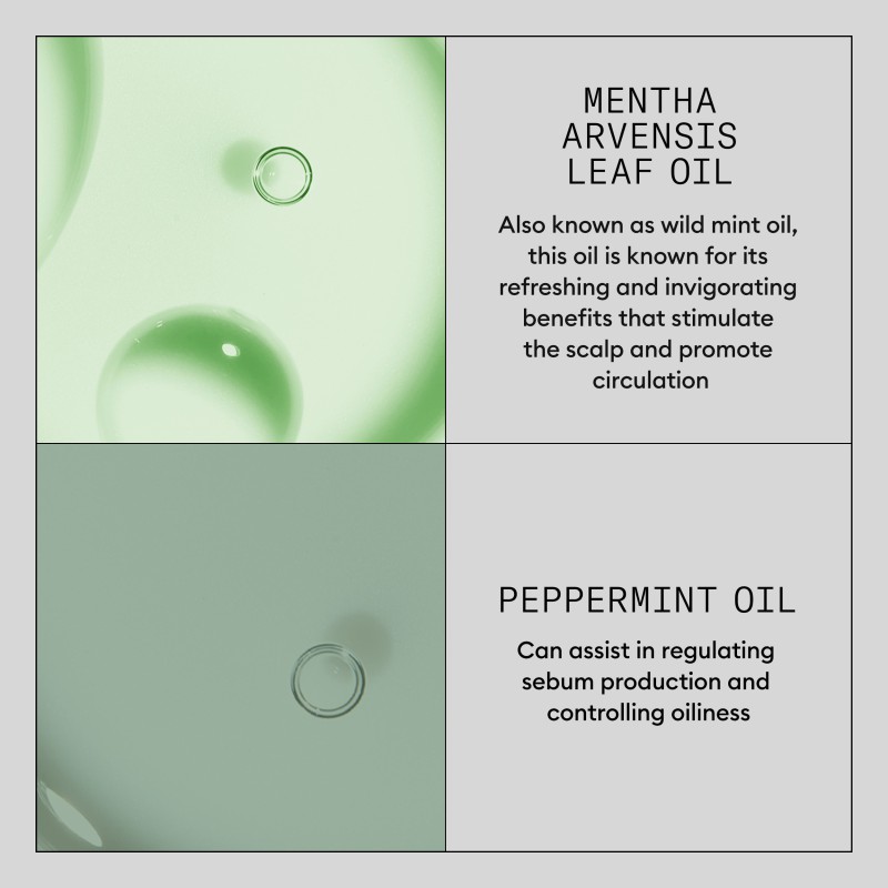 Nioxin Hair Booster Serum 100 ml Nioxin Hair Booster Serum 100 ml