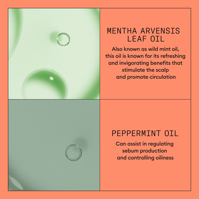 Nioxin System 4 Conditioner for Colored Thinning Hair 300 ml Nioxin System 4 Conditioner for Colored Thinning Hair 300 ml