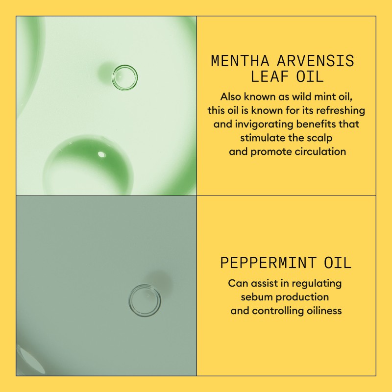 Nioxin System 1 Conditioner for Thinning Hair 1000 ml Nioxin System 1 Conditioner for Thinning Hair 1000 ml