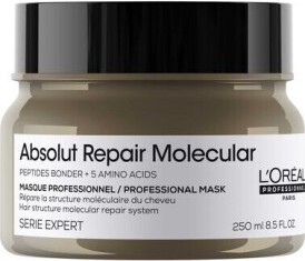 L'Oréal Professionnel Absolut Repair Molecular Rinse-Off Mask 250ml
