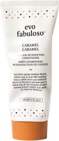 Evo Fabuloso Colour Intensifying Conditioner Caramel 250ml (2)