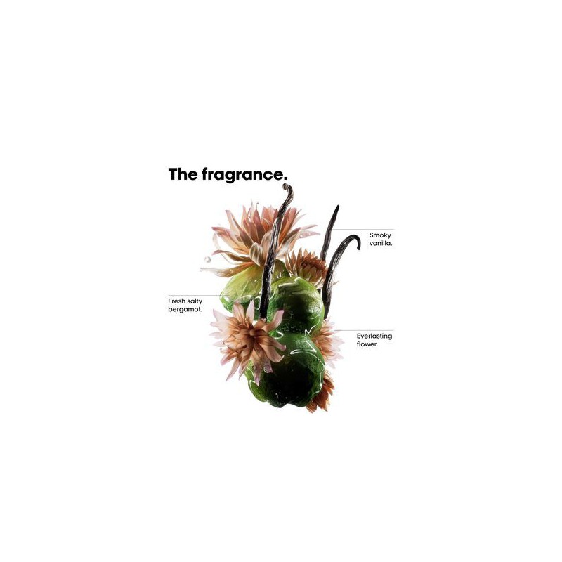 Absolut Repair Molecular Discovery Set Mini